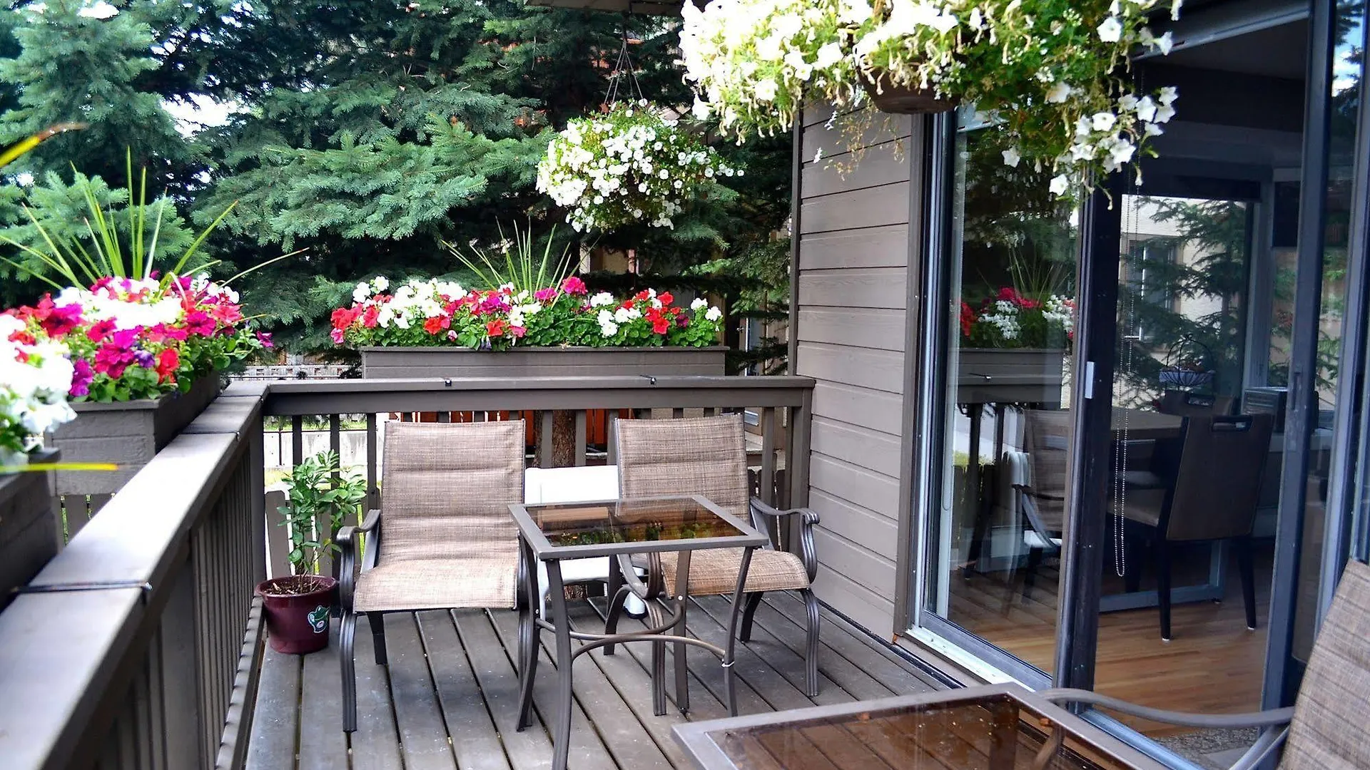 A Good Nite'S Rest Bed And Breakfast Banff Bed & Breakfast